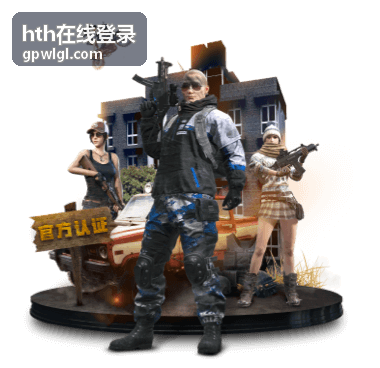 hth在线登录账号等级与团队席位配置示意